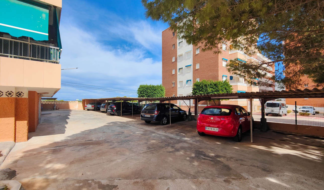 Reventa - Apartamento / Piso - Torrevieja - torrevieja