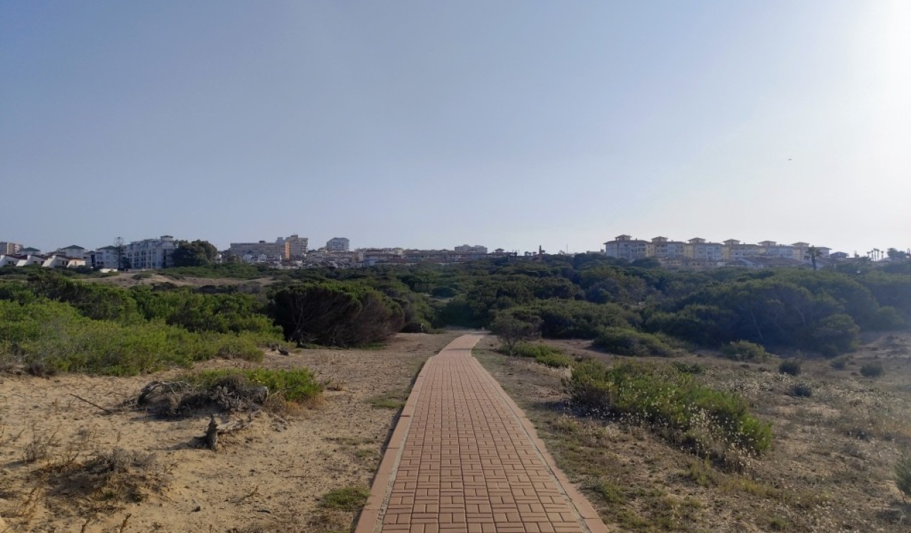 Reventa - Apartamento / Piso - Torrevieja