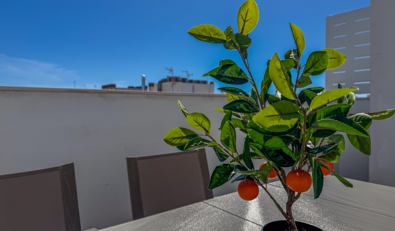 Reventa - Apartamento / Piso - Torrevieja