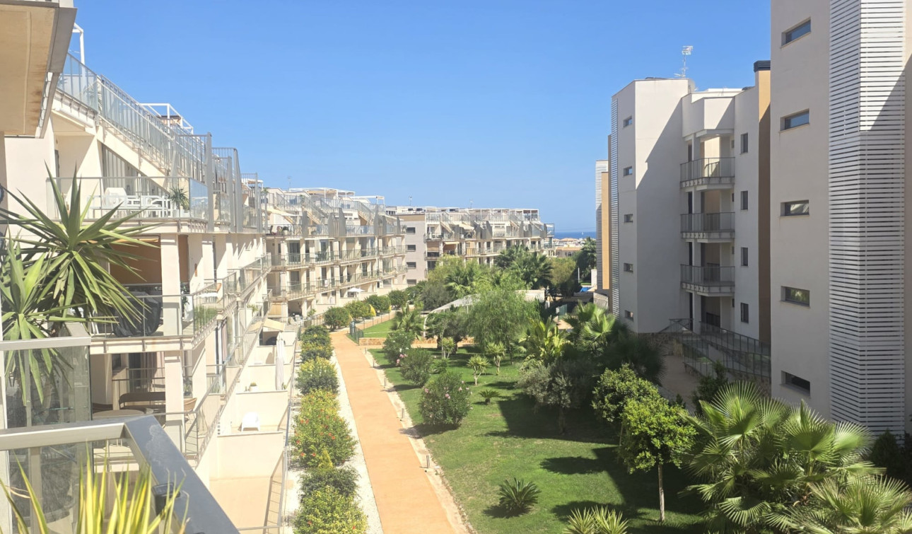 Reventa - Apartamento / Piso - Villamartín - Los Dolses
