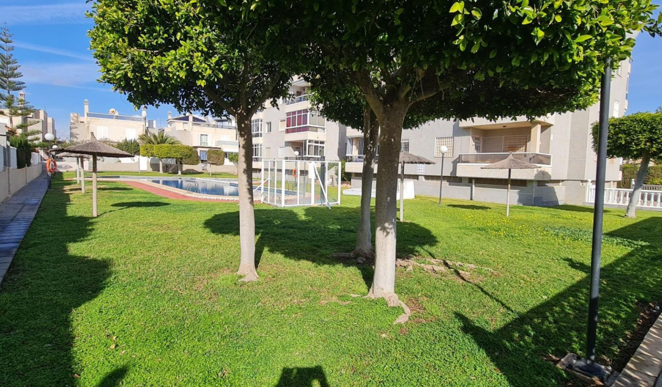 Reventa - Casa de Pueblo - Torrevieja - Aguas Nuevas