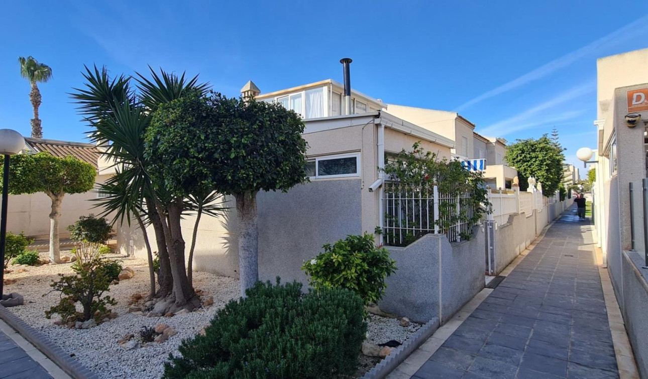 Reventa - Casa de Pueblo - Torrevieja - Aguas Nuevas