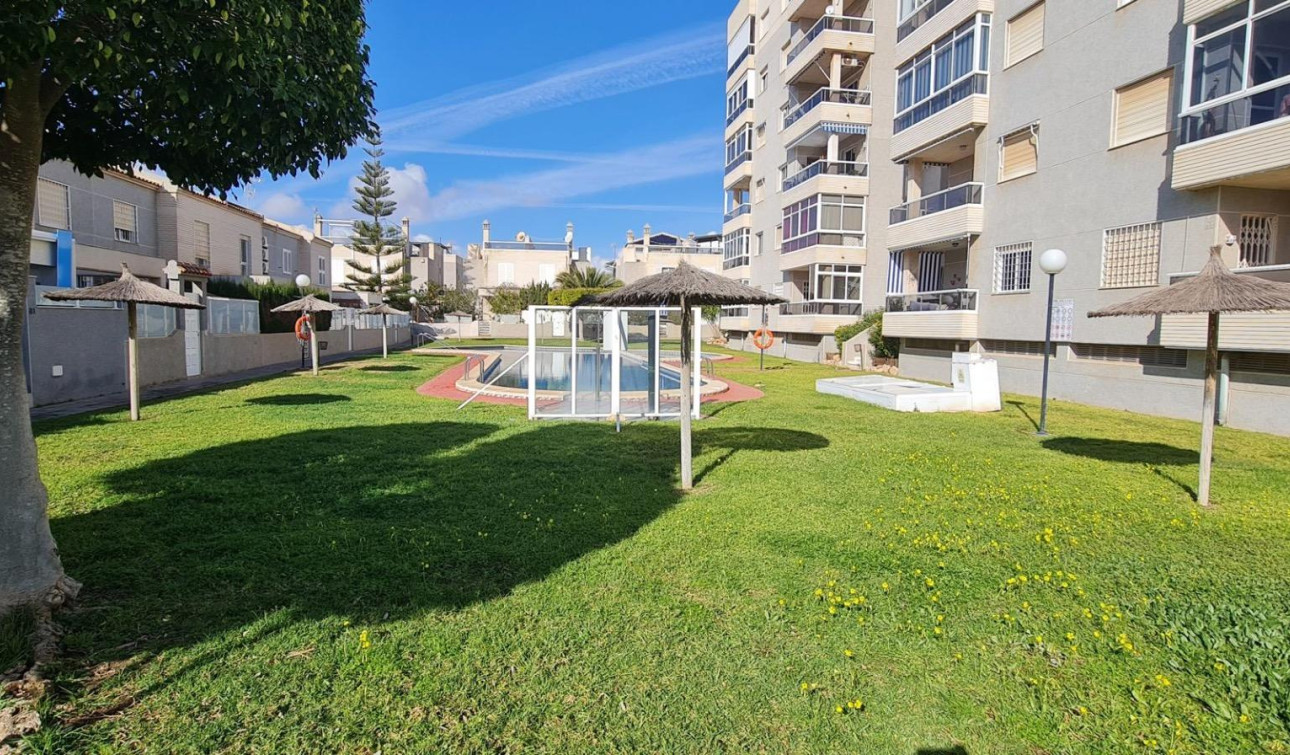 Reventa - Casa de Pueblo - Torrevieja - Aguas Nuevas