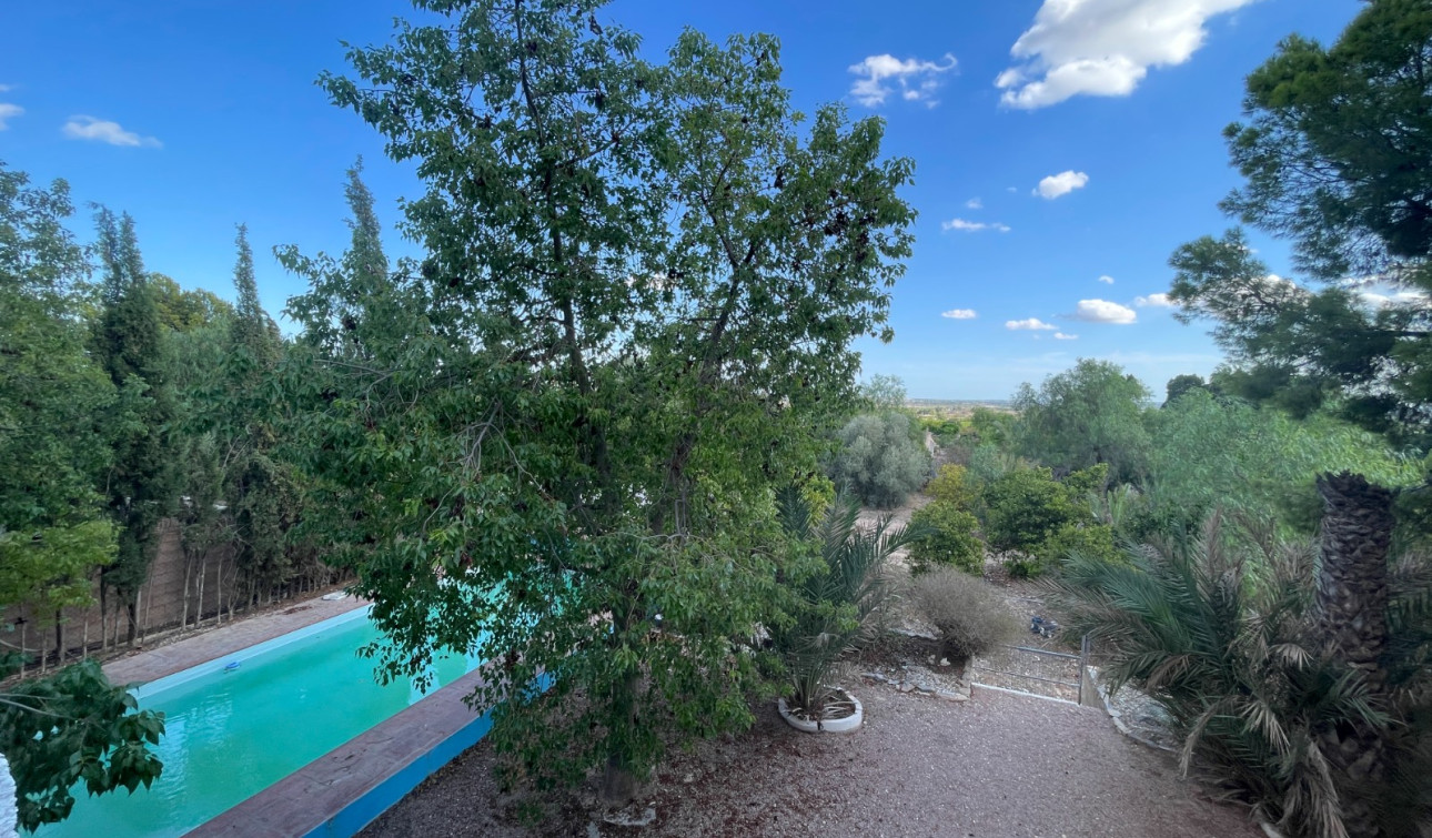 Reventa - Finca / Propiedad de Campo - Albatera