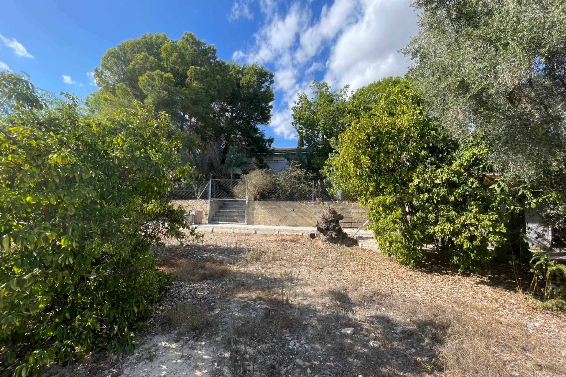 Reventa - Finca / Propiedad de Campo - Albatera