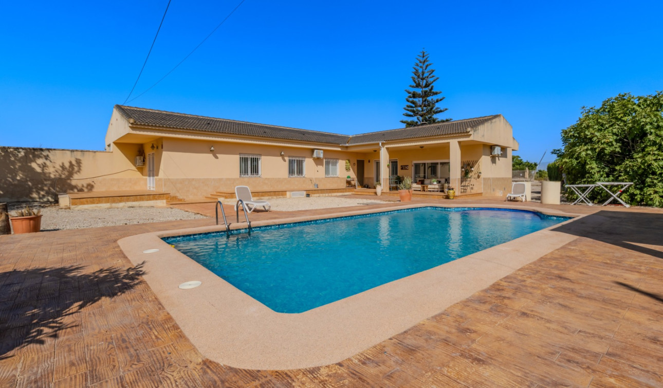 Reventa - Finca / Propiedad de Campo - Almoradí