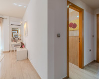 Reventa - Finca / Propiedad de Campo - Almoradí