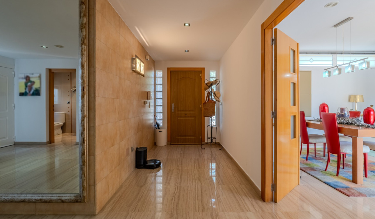 Reventa - Finca / Propiedad de Campo - Almoradí