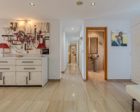Reventa - Finca / Propiedad de Campo - Almoradí