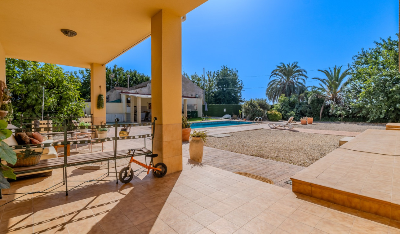 Reventa - Finca / Propiedad de Campo - Almoradí