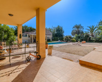 Reventa - Finca / Propiedad de Campo - Almoradí