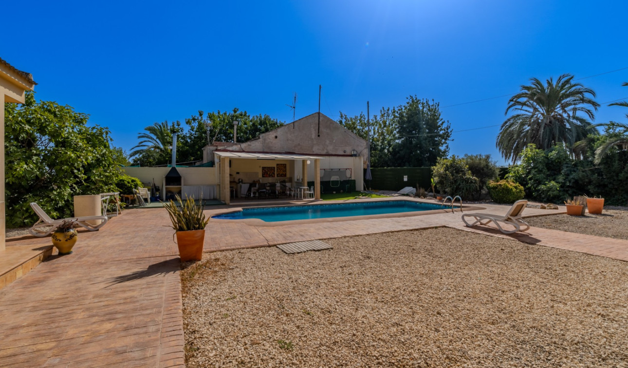 Reventa - Finca / Propiedad de Campo - Almoradí