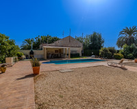 Reventa - Finca / Propiedad de Campo - Almoradí