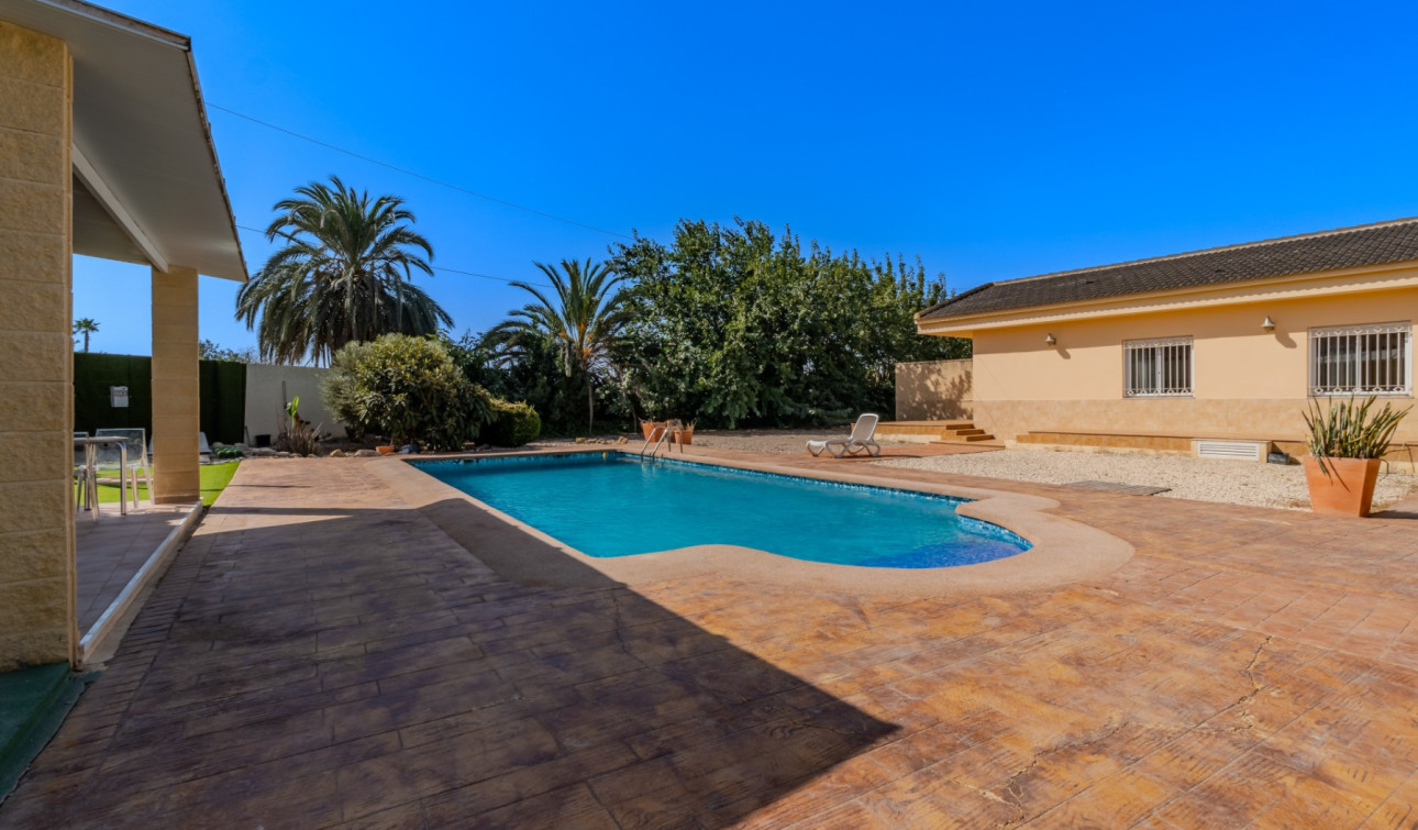 Reventa - Finca / Propiedad de Campo - Almoradí