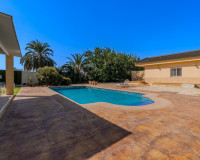 Reventa - Finca / Propiedad de Campo - Almoradí