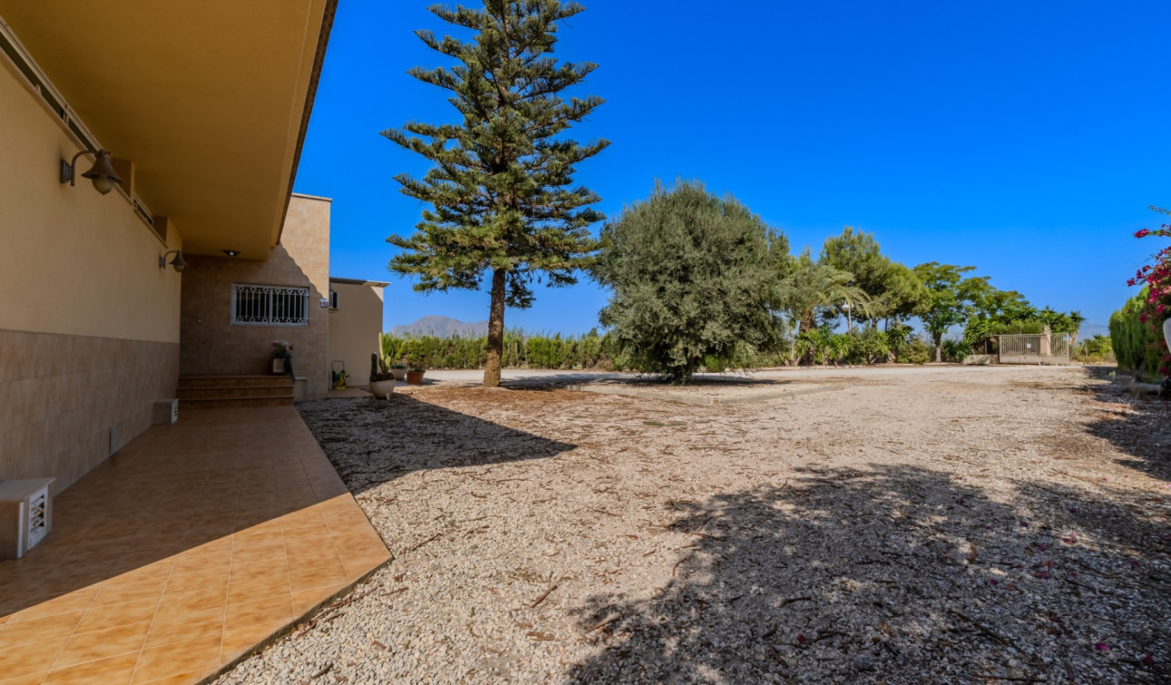 Reventa - Finca / Propiedad de Campo - Almoradí