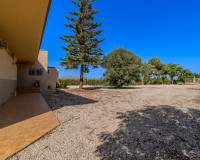 Reventa - Finca / Propiedad de Campo - Almoradí