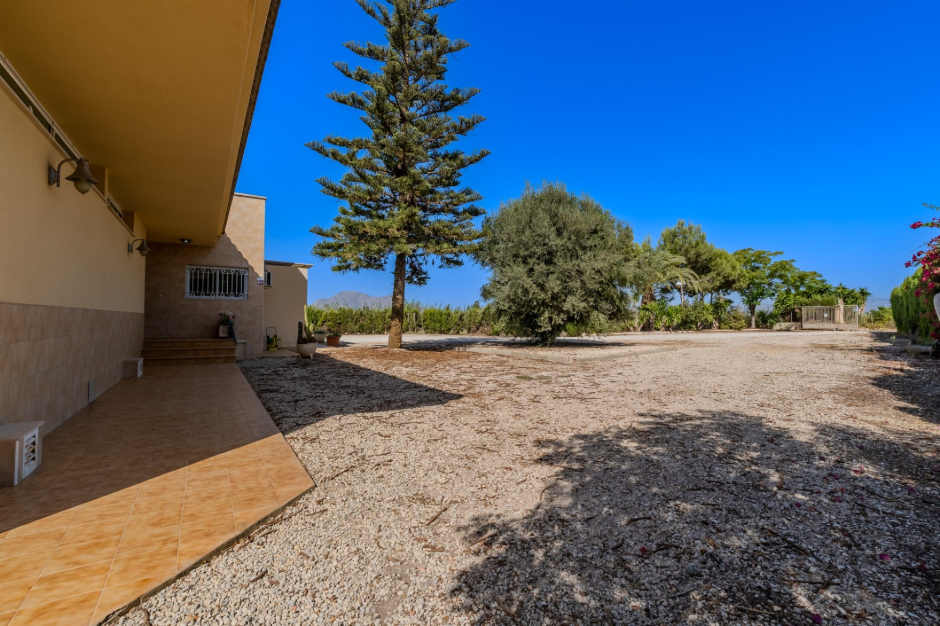 Reventa - Finca / Propiedad de Campo - Almoradí