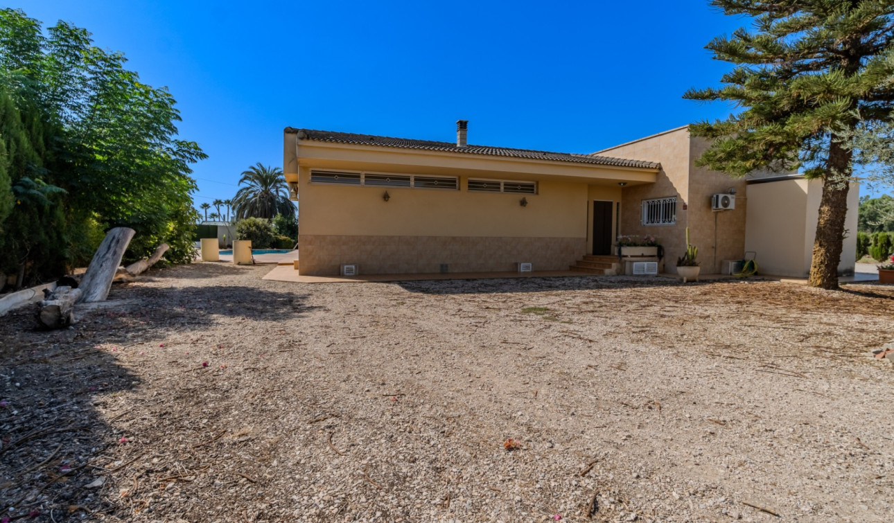 Reventa - Finca / Propiedad de Campo - Almoradí