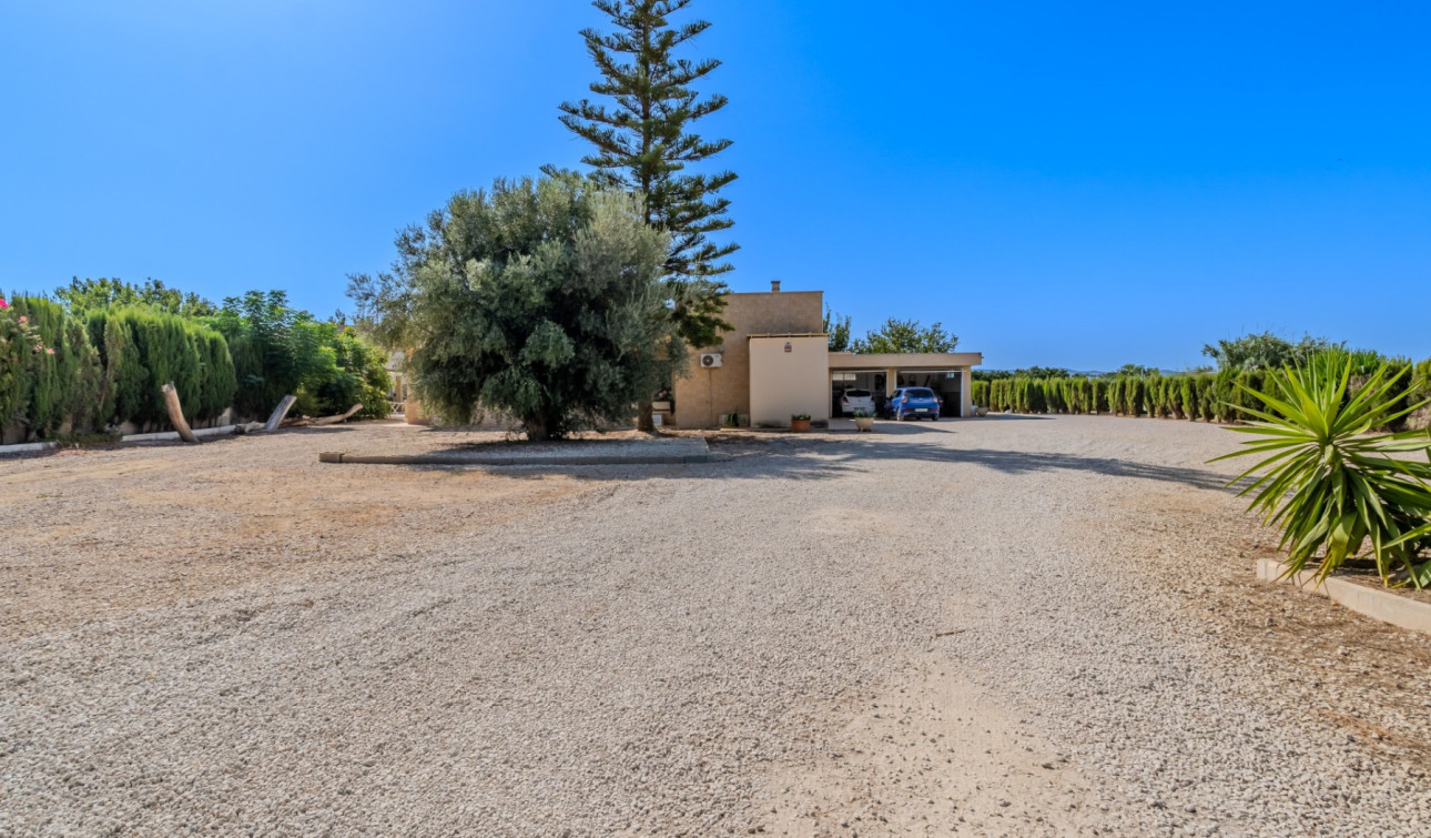Reventa - Finca / Propiedad de Campo - Almoradí