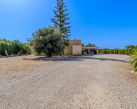 Reventa - Finca / Propiedad de Campo - Almoradí