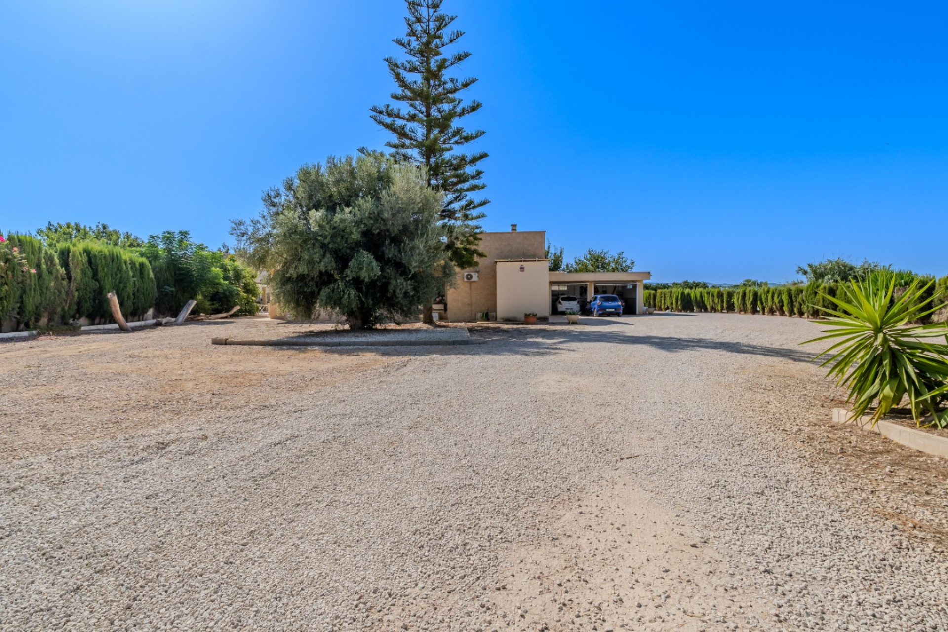 Reventa - Finca / Propiedad de Campo - Almoradí