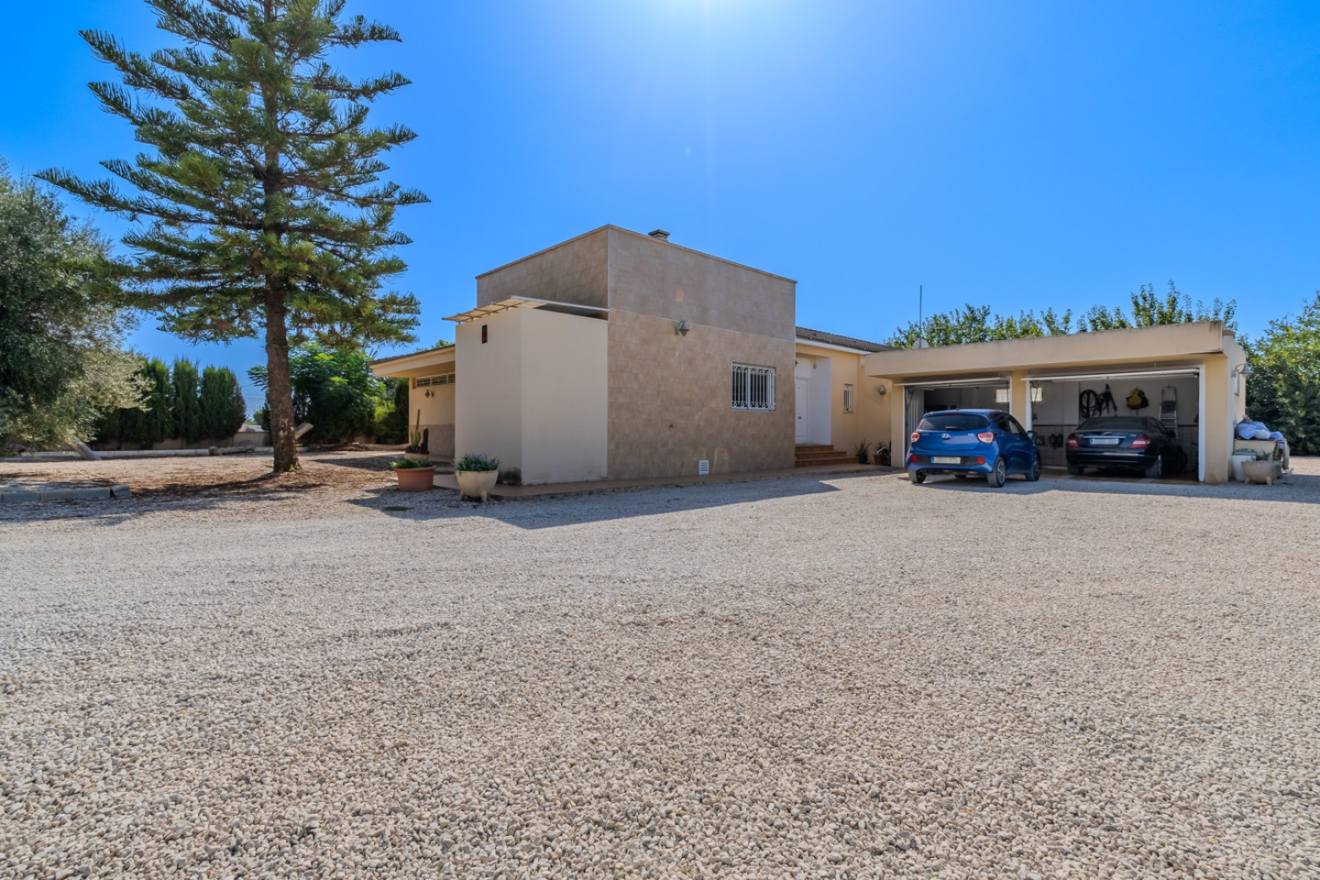 Reventa - Finca / Propiedad de Campo - Almoradí