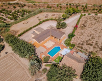Reventa - Finca / Propiedad de Campo - Almoradí