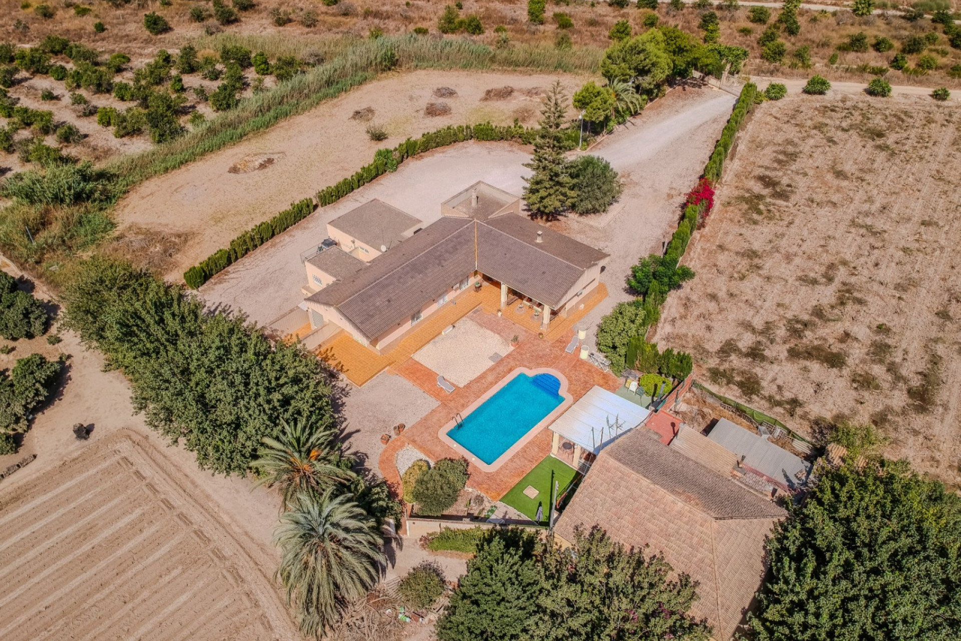 Reventa - Finca / Propiedad de Campo - Almoradí