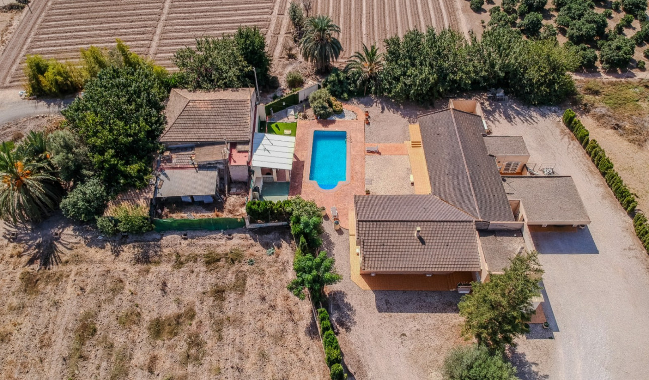 Reventa - Finca / Propiedad de Campo - Almoradí