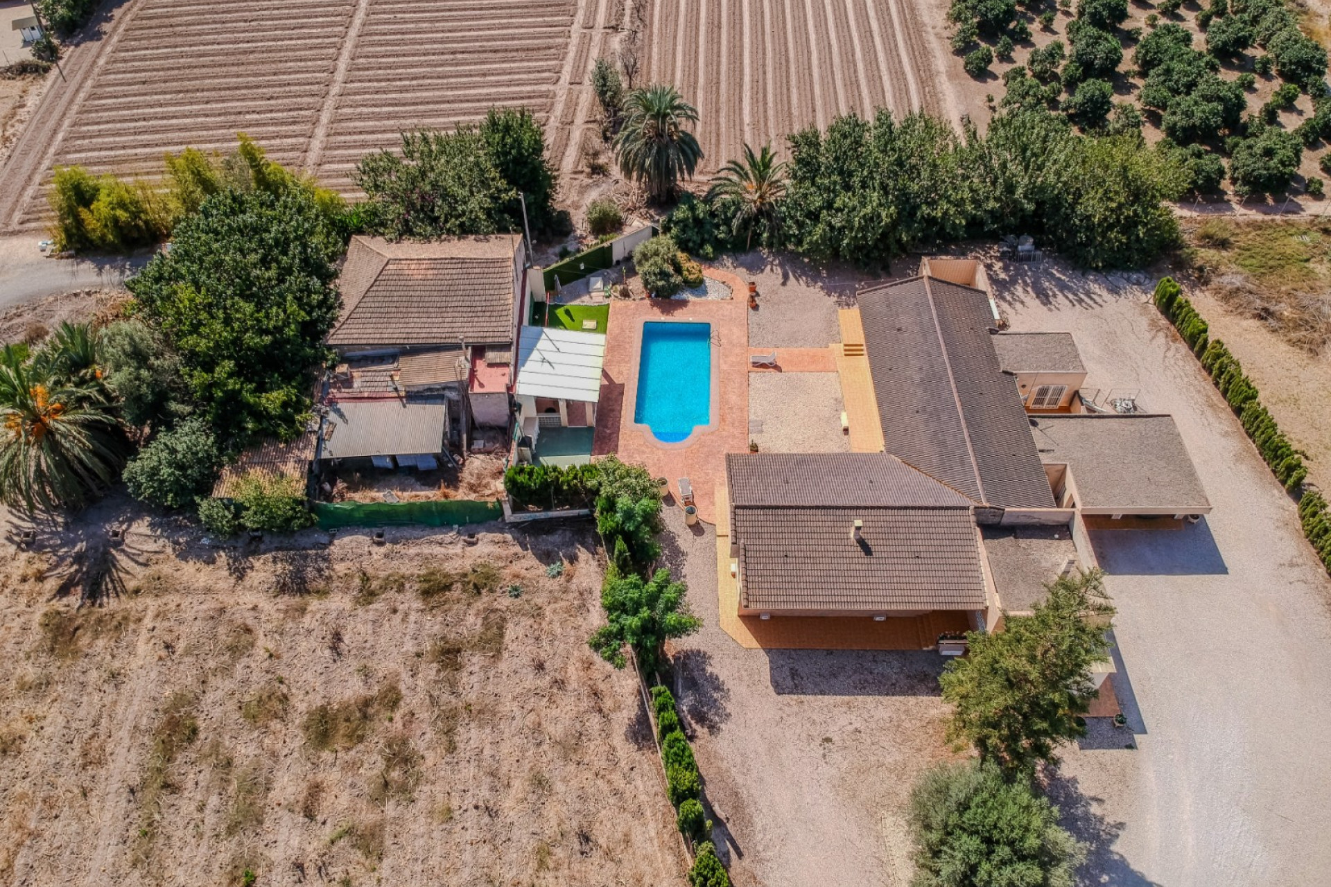 Reventa - Finca / Propiedad de Campo - Almoradí
