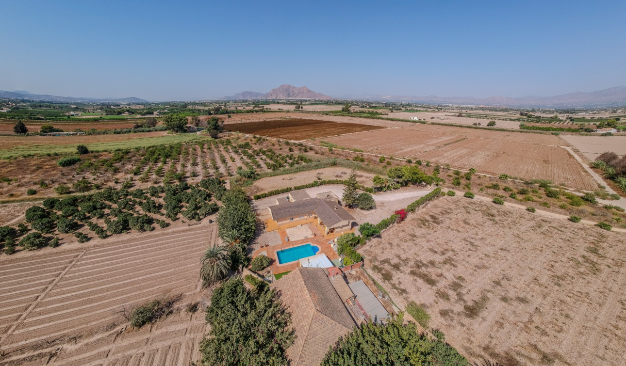 Reventa - Finca / Propiedad de Campo - Almoradí