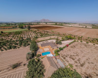 Reventa - Finca / Propiedad de Campo - Almoradí