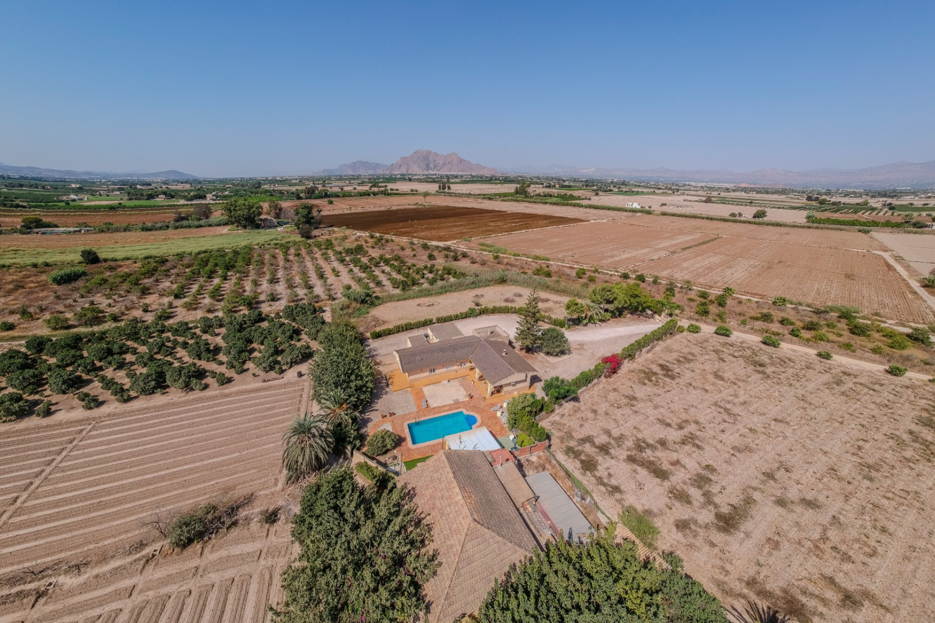 Reventa - Finca / Propiedad de Campo - Almoradí