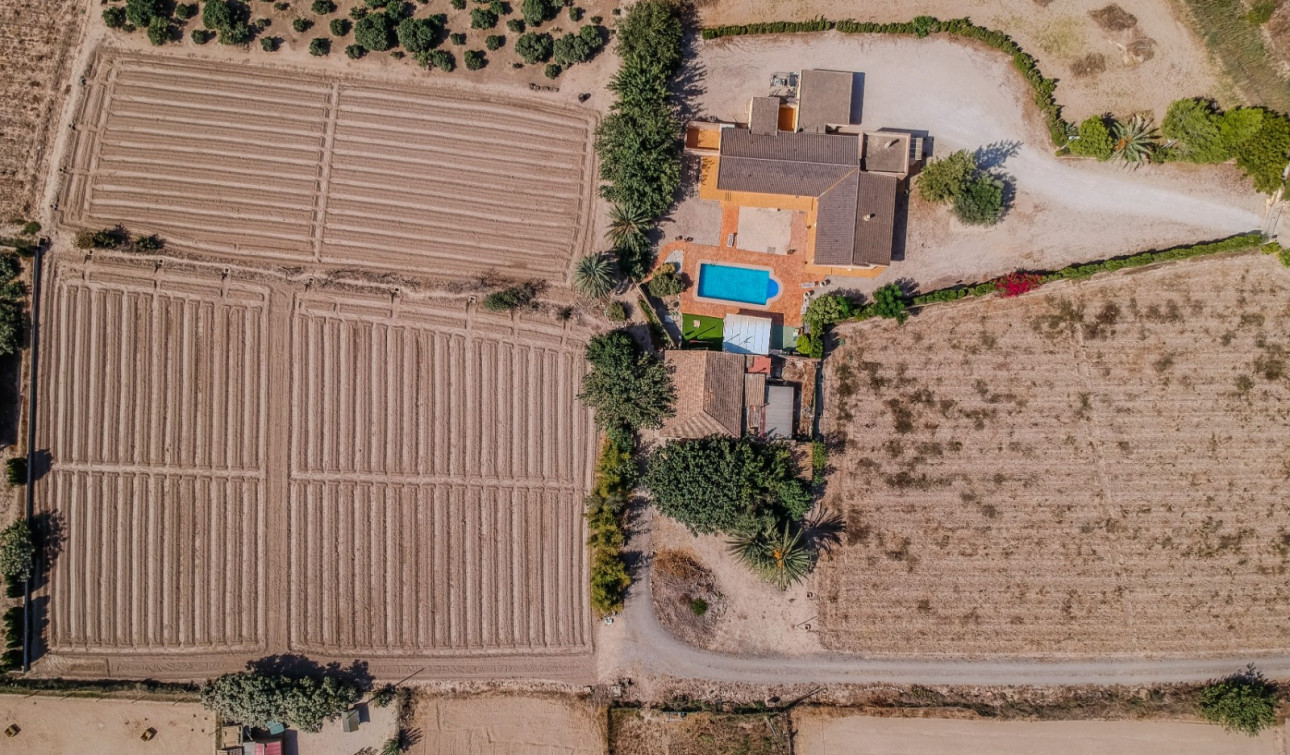 Reventa - Finca / Propiedad de Campo - Almoradí