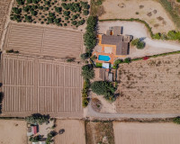Reventa - Finca / Propiedad de Campo - Almoradí