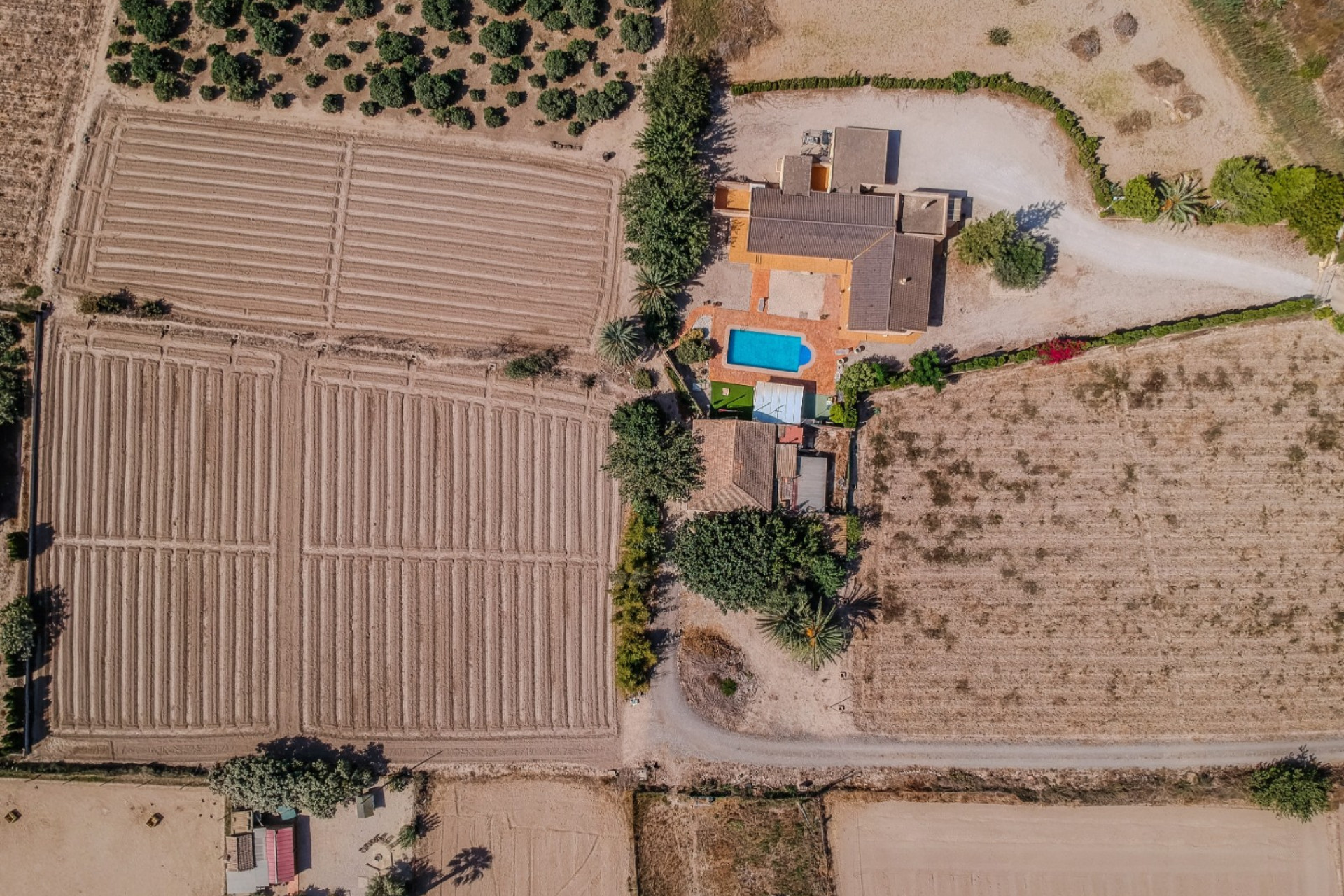 Reventa - Finca / Propiedad de Campo - Almoradí
