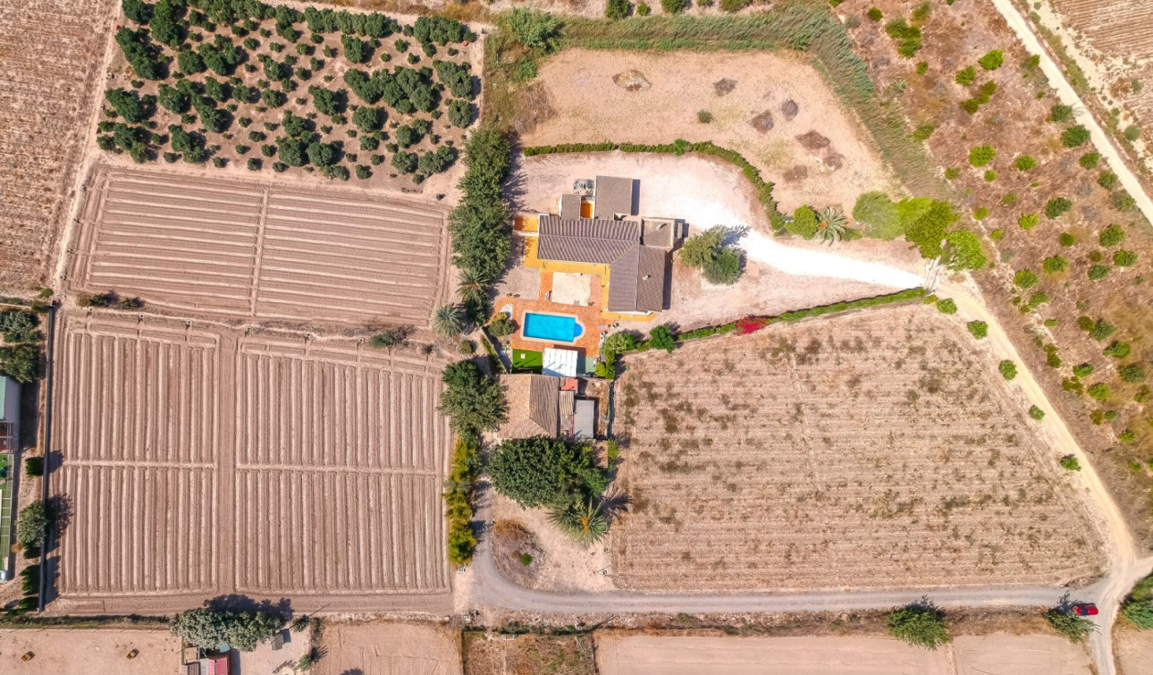 Reventa - Finca / Propiedad de Campo - Almoradí