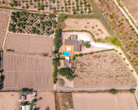 Reventa - Finca / Propiedad de Campo - Almoradí