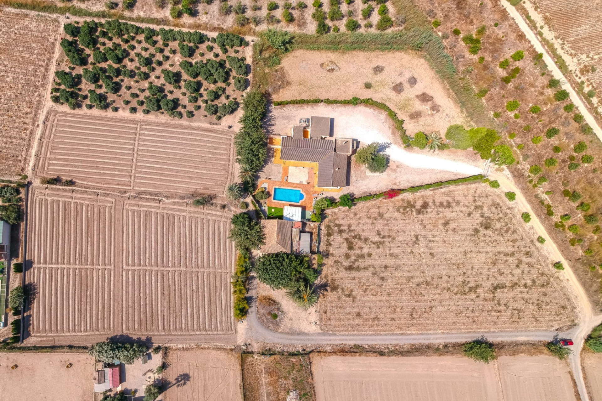 Reventa - Finca / Propiedad de Campo - Almoradí