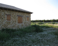 Reventa - Finca / Propiedad de Campo - Benferri
