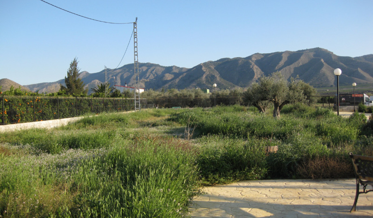 Reventa - Finca / Propiedad de Campo - Benferri