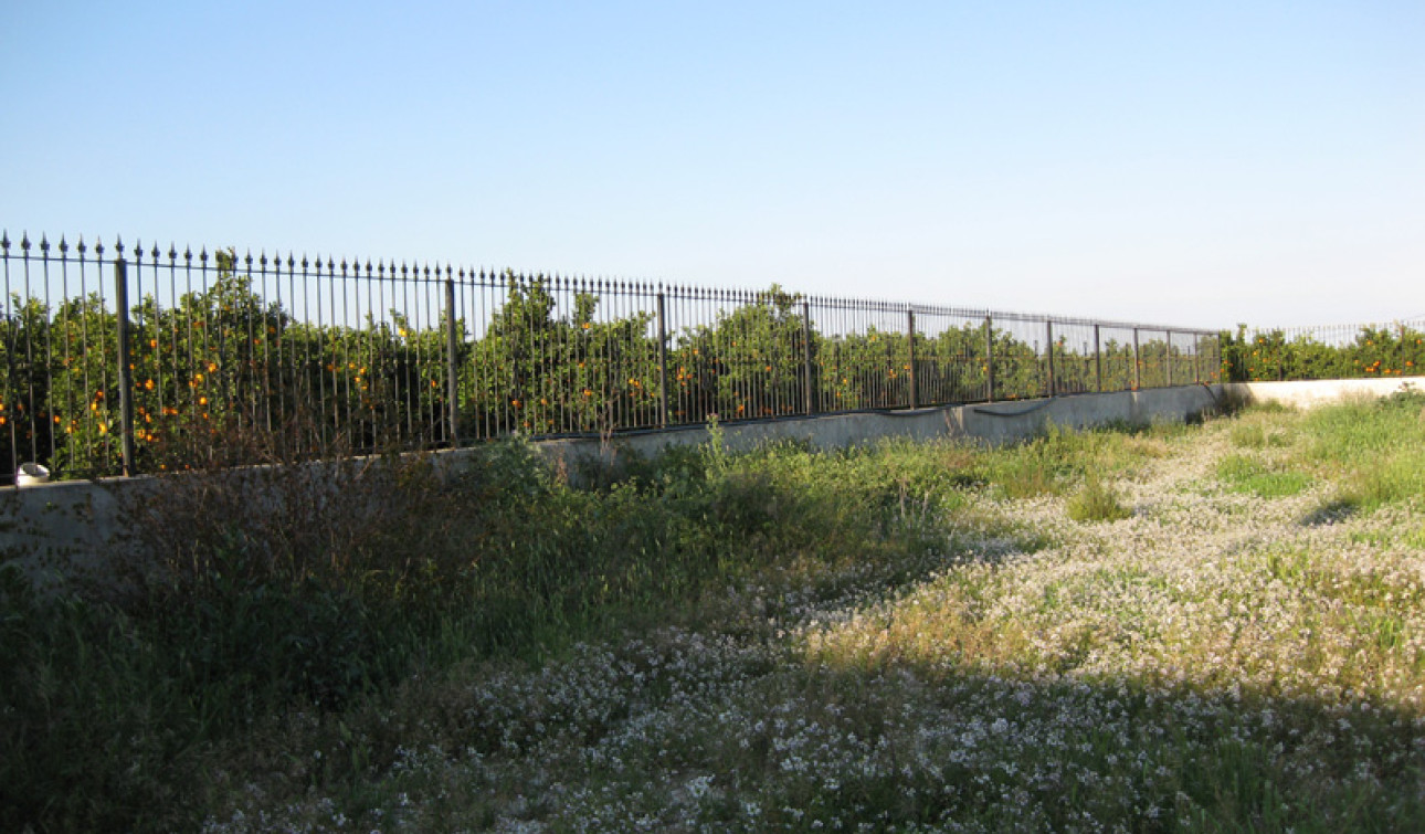 Reventa - Finca / Propiedad de Campo - Benferri