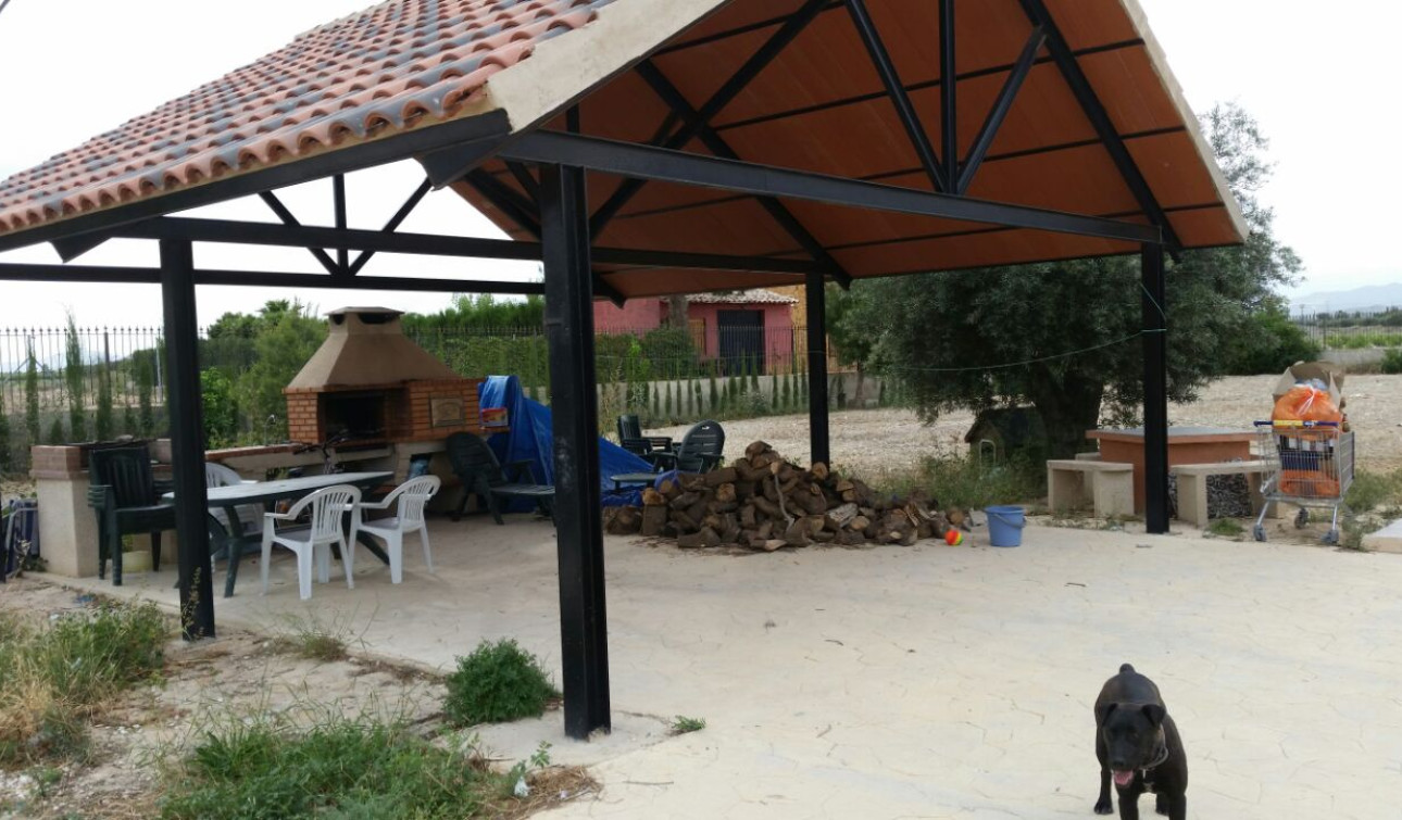 Reventa - Finca / Propiedad de Campo - Benferri