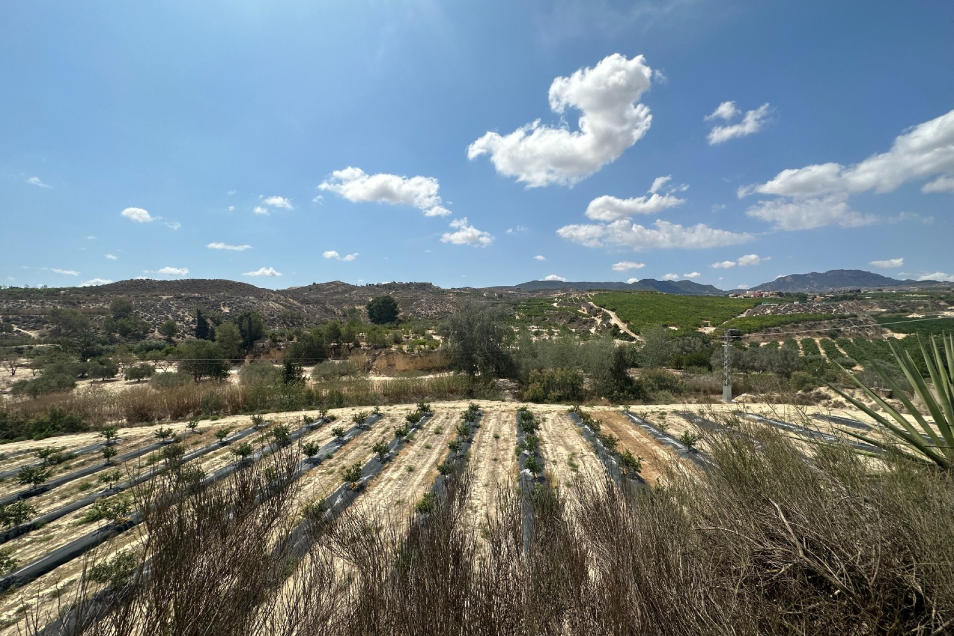 Reventa - Finca / Propiedad de Campo - Cañadas de San Pedro