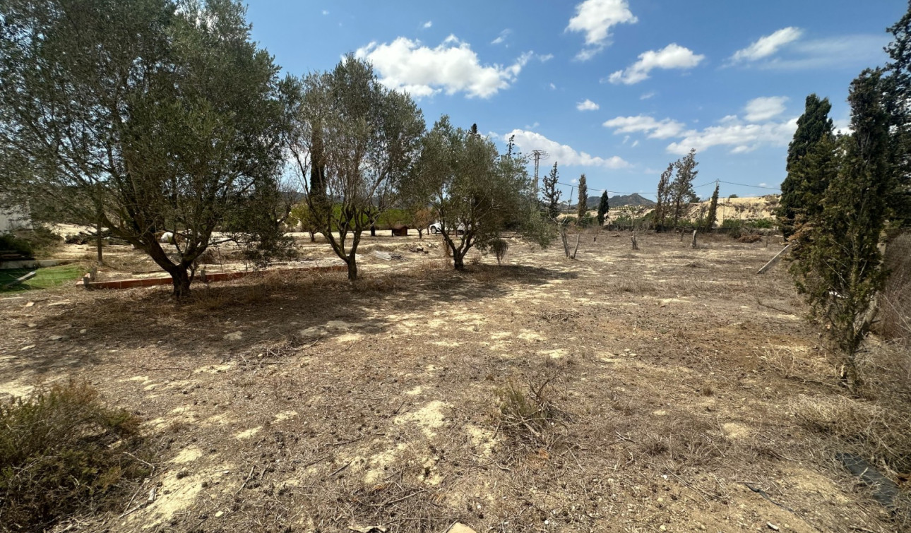 Reventa - Finca / Propiedad de Campo - Cañadas de San Pedro