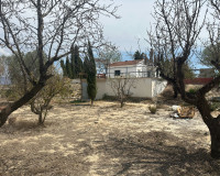 Reventa - Finca / Propiedad de Campo - Cañadas de San Pedro