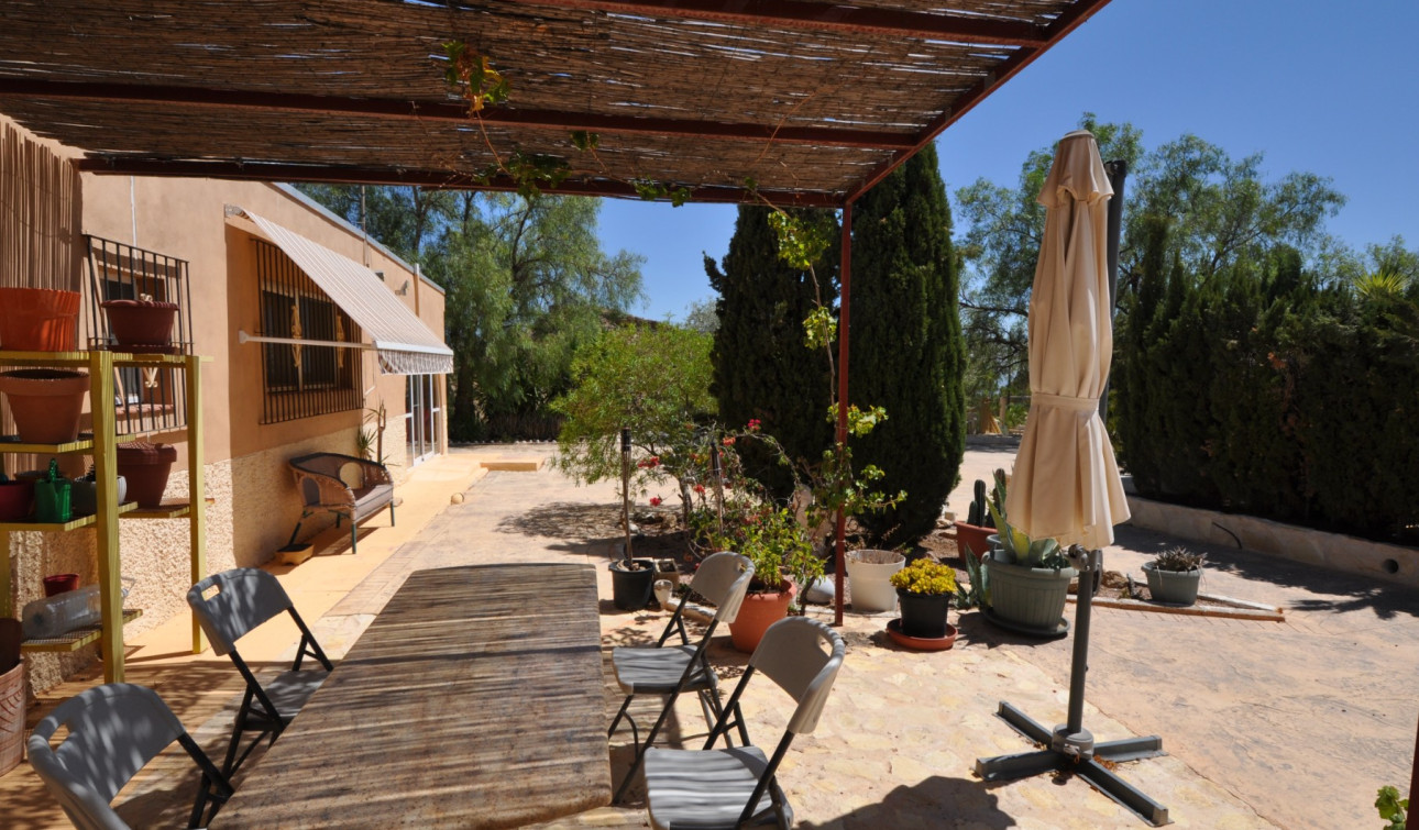 Reventa - Finca / Propiedad de Campo - Crevillente