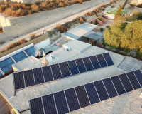 Reventa - Finca / Propiedad de Campo - Crevillente