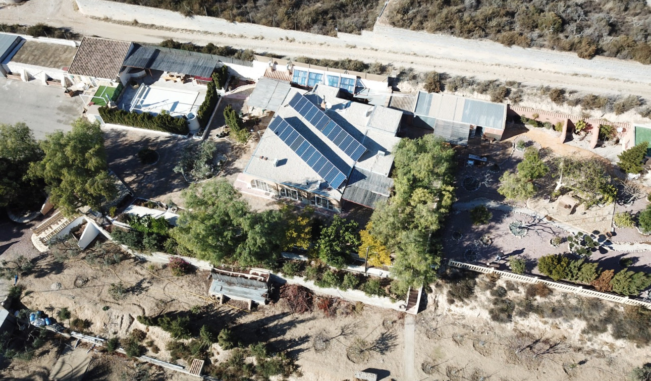 Reventa - Finca / Propiedad de Campo - Crevillente